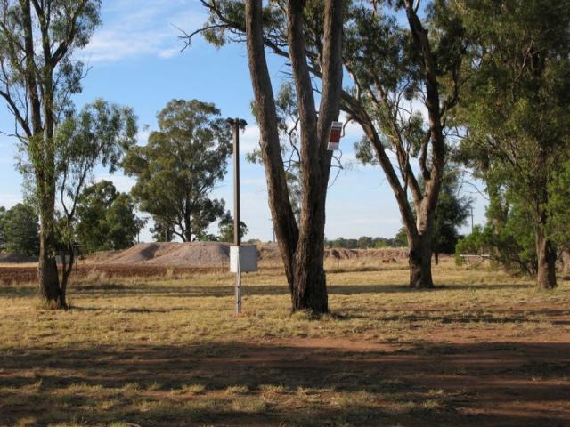 Eumungerie Recreation Reserve - Dubbo: Power is available in some parts of the reserve and costs $3 more per day.