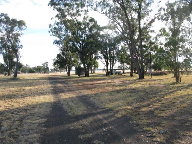 Eumungerie Recreation Reserve - Dubbo: Very pleasant location to camp.
