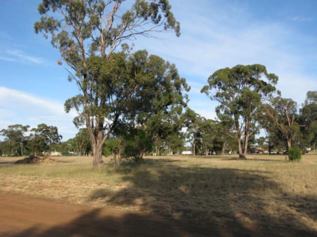 Eumungerie Recreation Reserve - Dubbo: Plenty of room for big rigs and motorhomes. 