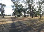 Eumungerie Recreation Reserve - Dubbo: Very pleasant location to camp.