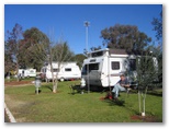 Westview Tourist Caravan Park - Dubbo: Powered sites for caravans