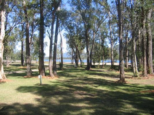 Diamond Waters Caravan Park - Dunbogan: Area for tents and camping
