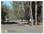 Yarraby Holiday Park - Echuca: Powered sites for caravans and camping