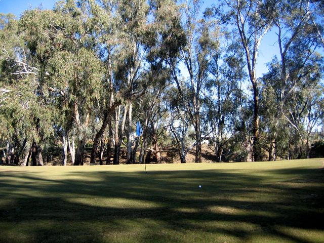 Echuca YMCA Golf Course - Echuca: Green on Hole 1