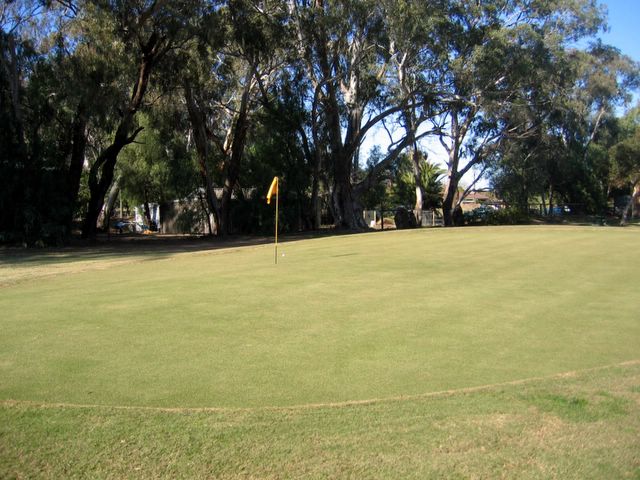 Echuca YMCA Golf Course - Echuca: Green on Hole 9