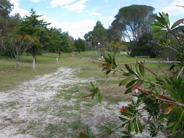 Eden Tourist Park - Eden: Area for tents and camping