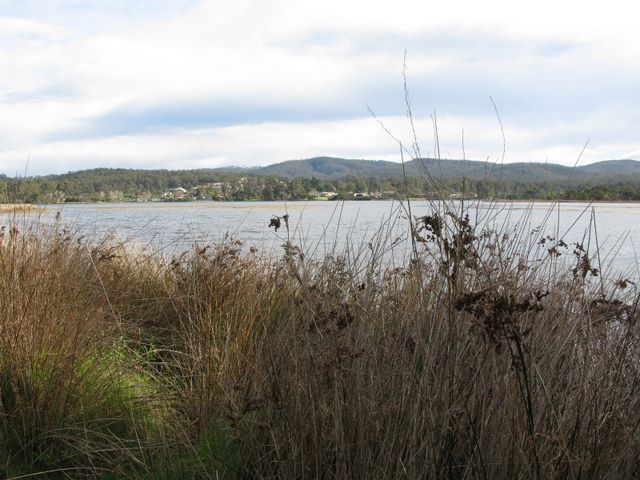 Eden Tourist Park - Eden: View of the lake at the rear of the park