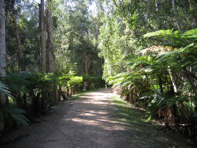 Emerald Downs Golf Course - Port Macquarie: Pathway to Hole 6 through natural bushland