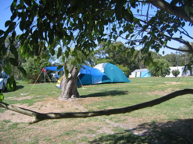 Fingal Bay Holiday Park - Fingal Bay: Area for tents and camping 