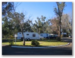 Apex Riverside Tourist Park - Forbes: Powered sites for caravans
