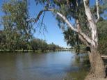 Forbes Rest Area - Forbes: The magnificent Lachlan River.