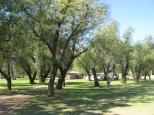Forbes Rest Area - Forbes: Overview of Lions Park.