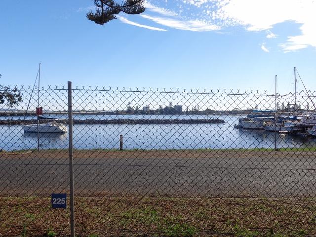 Forster Beach Holiday Park - Forster: view from water side sites