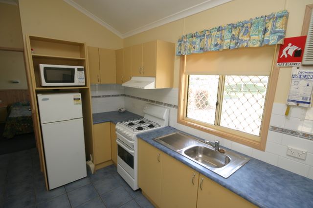 Forster Beach Holiday Park - Forster: Modern kitchen with stove, refrigerator and microwave.