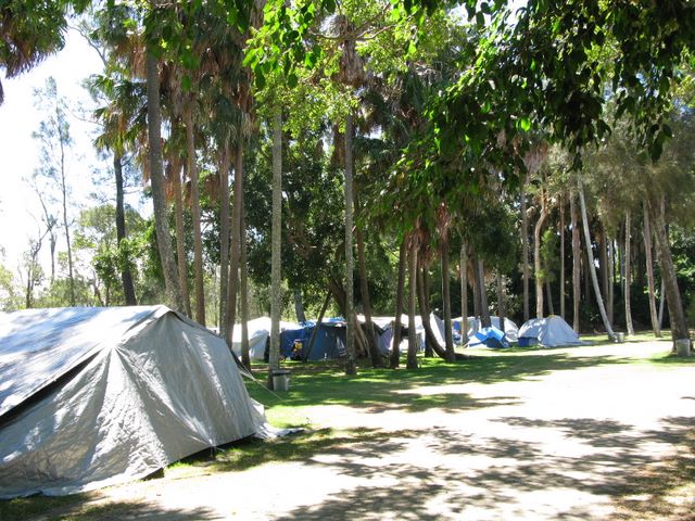 Lani's Holiday Island - Forster: Area for tents and camping