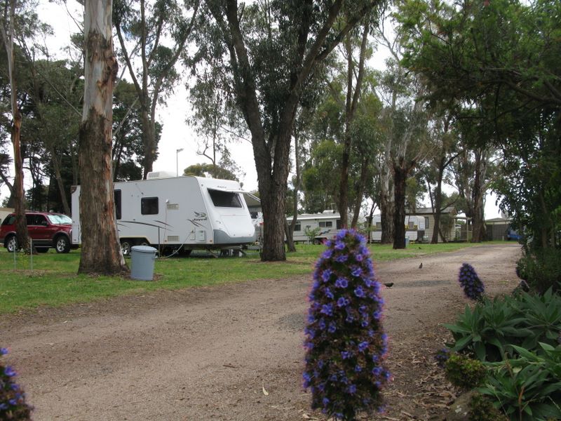 Moolap Caravan Park - Moolap Geelong: Powered sites for caravans