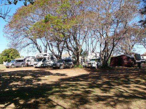 Goldfields Caravan Park - Georgetown: Shady powered sites for caravans