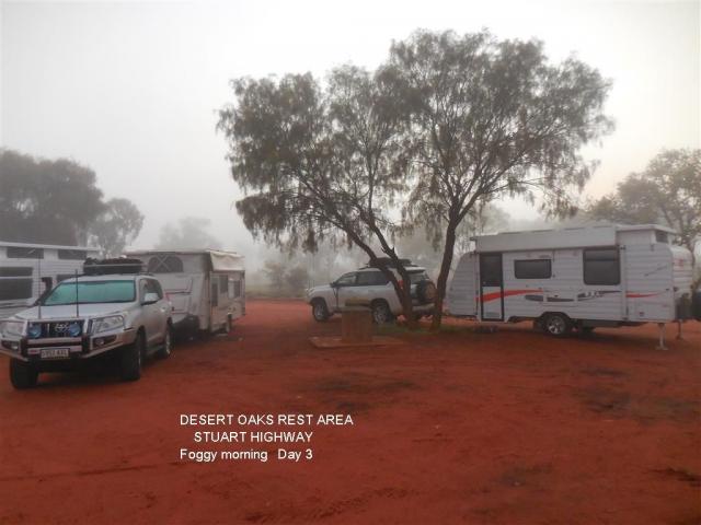 Desert Oaks Rest Area - Ghan: Morning fog