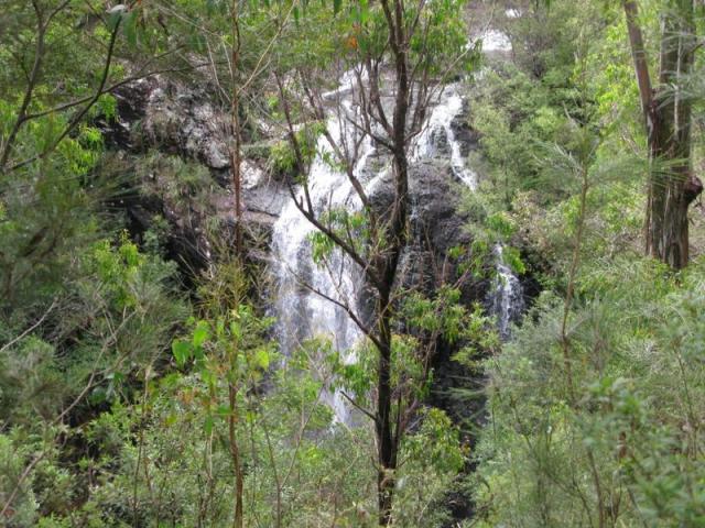 Boundry Creek Falls - Gibraltar Range National Park: Boundary Creek Falls.