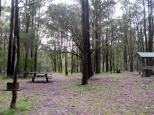 Boundry Creek Falls - Gibraltar Range National Park: Overview of the picnic area.