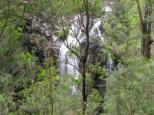 Boundry Creek Falls - Gibraltar Range National Park: Boundary Creek Falls.