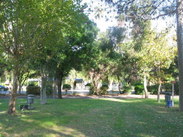 Rest a While Cabin & Van Park - Gilgandra: Shady powered sites for caravans 
