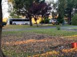 Blue Sapphire Caravan Park - Glen Innes: Spacious sites for big rigs available from $15
