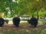 Glen Innes Anzac Park - Glen Innes: Lovely shady park with good amenities.