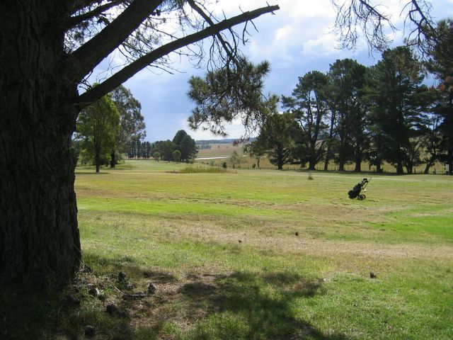 Glen Innes NSW - Glen Innes: Glen Innes NSW: Fairway on Glen Innes Golf Course