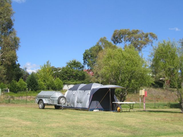 Poplar Caravan Park - Glen Innes: Area for tents and campers