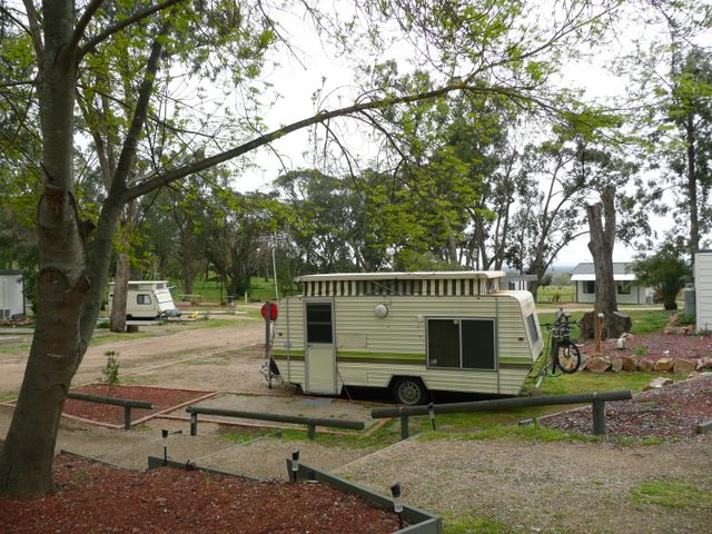 Glenrowan Tourist Park - Glenrowan: Powered sites for caravans