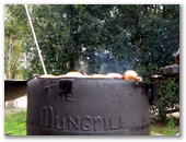 Standown Park - Goomboorian: It is called the Mungrill !