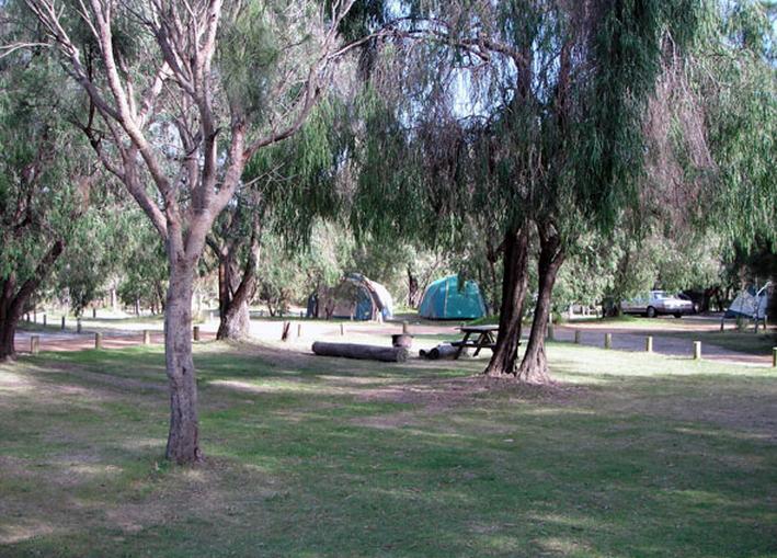 Gracetown Caravan Park - Gracetown: Area for tents and camping