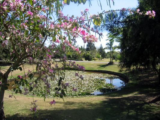 The Gateway Village - Grafton: Beautiful gardens throughout the park