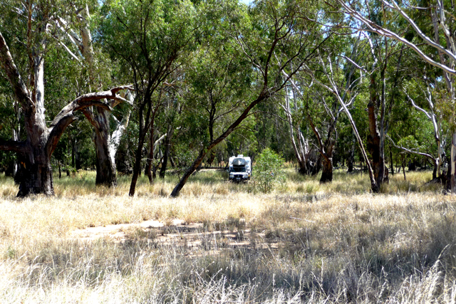 Birdcage Reserve - Griffith: Pick your own camping spot