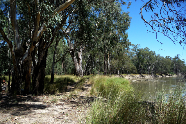 Birdcage Reserve - Griffith: Absolute peace and quiet