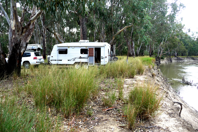 Birdcage Reserve - Griffith: Delightful location for a caravan