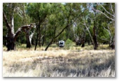 Birdcage Reserve - Griffith: Pick your own camping spot
