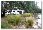 Birdcage Reserve - Griffith: Delightful location for a caravan