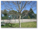 Griffith Tourist Caravan Park - Griffith: Tennis courts