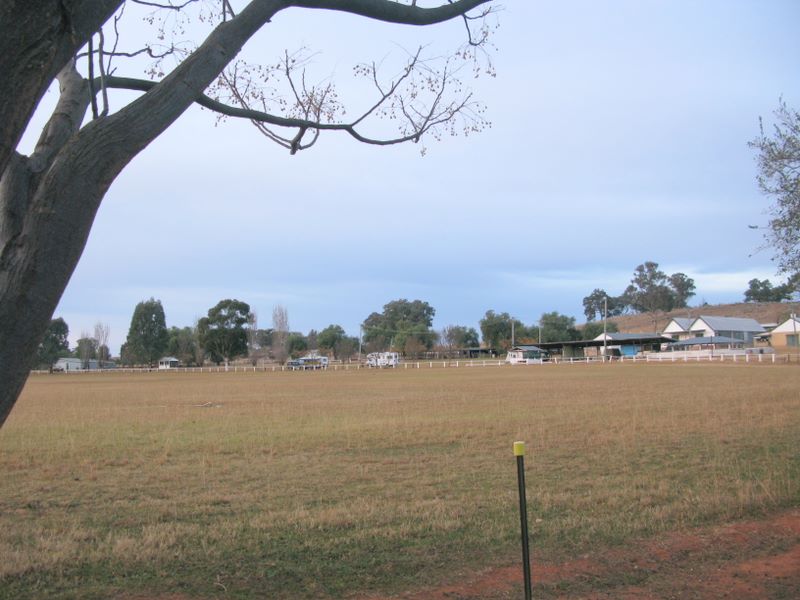 Gulgong Showground Caravan Park - Gulgong: Overview of the Showground showing camping area in the background.