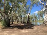 Gunbower Creek Bend - Cohuna: Take care not to camp beneath branches.