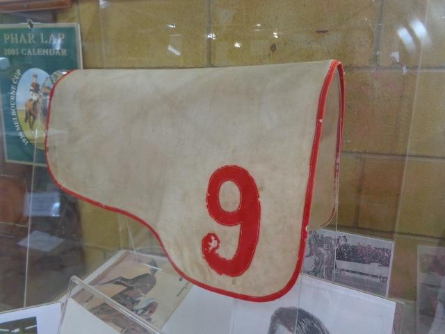 Gundagai River Caravan Park - Gundagai: Phar laps saddle cloth in the museum