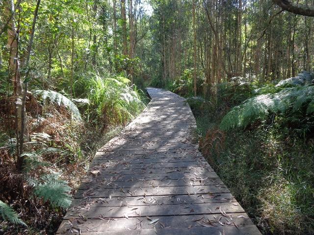 Colonial Holiday Park and Leisure Village - Harrington: Board walk at Cattai wetlands free entry