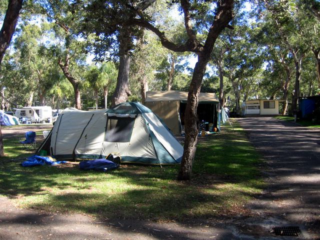 Jimmy's Beach Caravan Park - Hawks Nest: Area for tents and campers