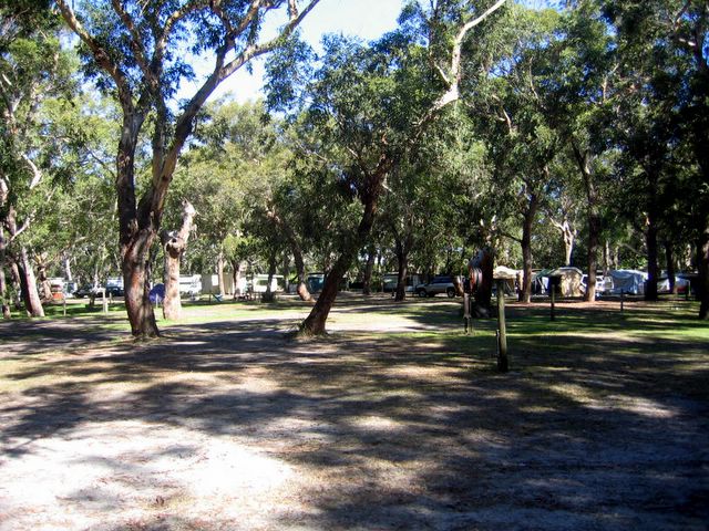 Jimmy's Beach Caravan Park - Hawks Nest: The park is surrounded by bushland