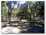 Jimmy's Beach Caravan Park - Hawks Nest: The park is surrounded by bushland