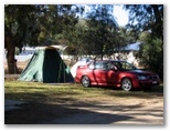 Hay Caravan Park - Hay: Area for tents and camping