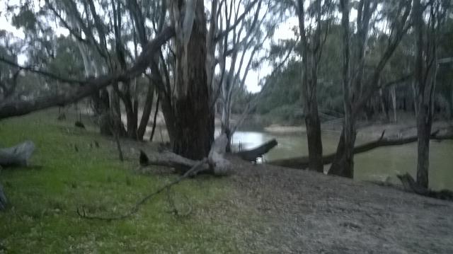 Nine Mile Reserve - Hay: Great little camp sight