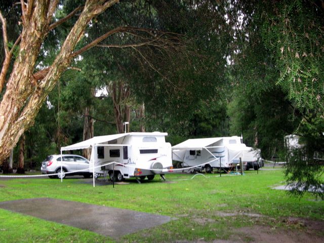 BIG4 Badger Creek Holiday Park - Healesville: Powered sites for caravans